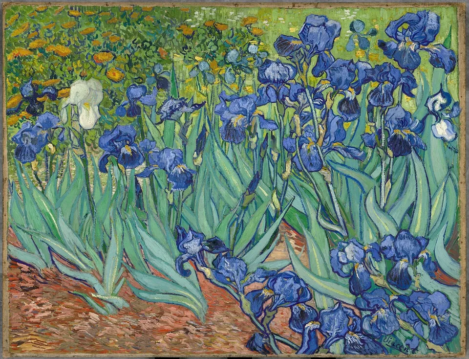 Irises by Vincent van Gogh, 1889