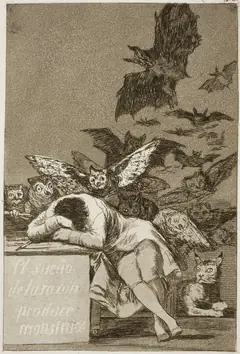 The Sleep of Reason Produces Monsters